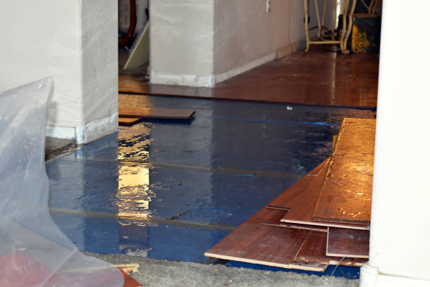 Professional Water Damage Repair technician working in Bradford, RI